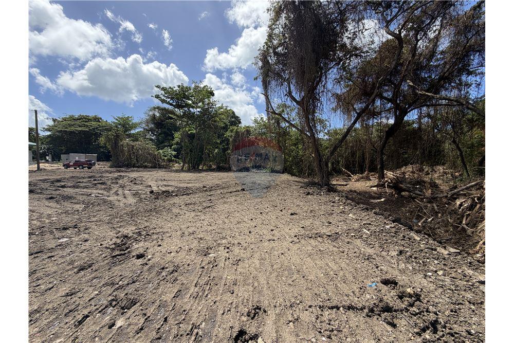 Commercial - Land - Gros Islet, Gros-Islet, St Lucia - Caribbean & Central Ameri - 8 - 902071001-224