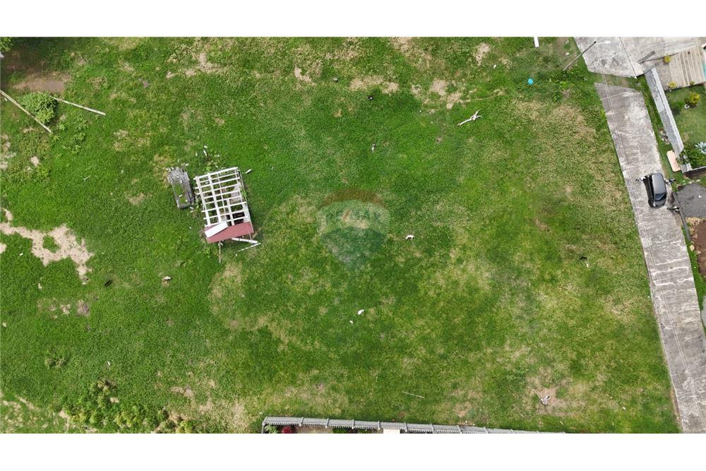 Commercial - Land - Prospect, St Vincent, St Vincent and the Grenadines - Caribbean & Central Ameri - 3 - 90109004-75