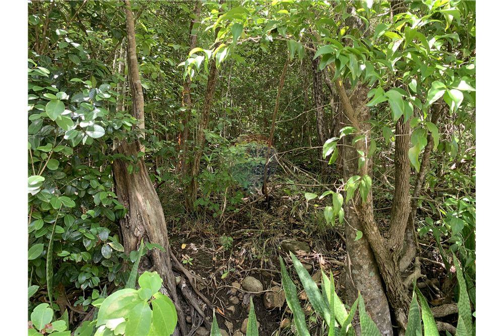 Commercial - Land - Gros Islet, Gros-Islet, St Lucia - Caribbean & Central Ameri - 7 - 902071001-213