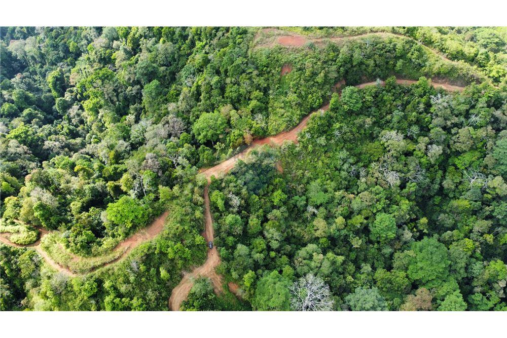 Commercial - Land - Bijagual, Puntarenas, Costa Rica - Caribbean & Central Ameri - 8 - 90168030-68