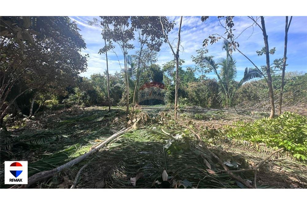 Commercial - Land - Parrita - Esterillos, Puntarenas - Parrita, Costa Rica - Caribbean & Central Ameri - 14 - 90168030-72