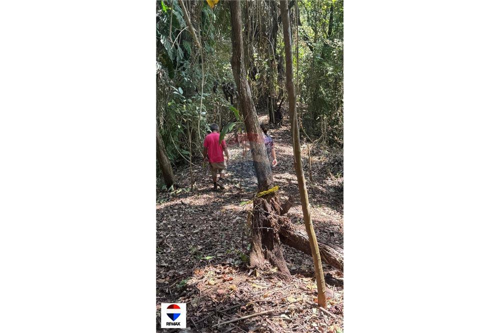 Commercial - Land - Tarcoles - Quebrada Ganado, Puntarenas- Garabito, Costa Rica - Caribbean & Central Ameri - 11 - 90168030-59