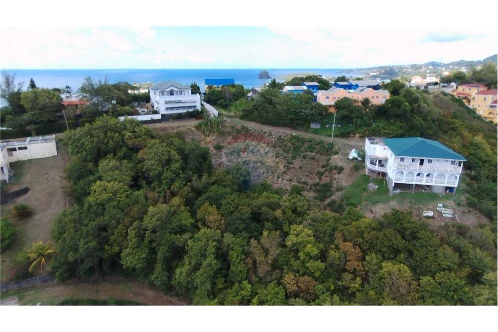 Commercial - Land - Prospect, St Vincent, St Vincent and the Grenadines - Caribbean & Central Ameri - 2 - 90109004-64