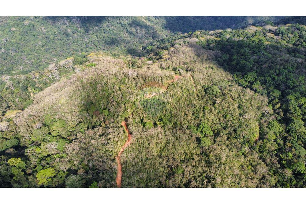 Commercial - Land - Bijagual, Puntarenas, Costa Rica - Caribbean & Central Ameri - 9 - 90168030-68