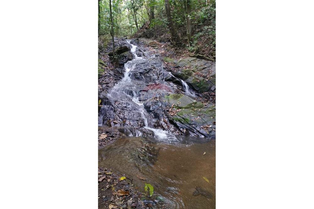 Commercial - Land - Bijagual, Puntarenas, Costa Rica - Caribbean & Central Ameri - 28 - 90168030-68