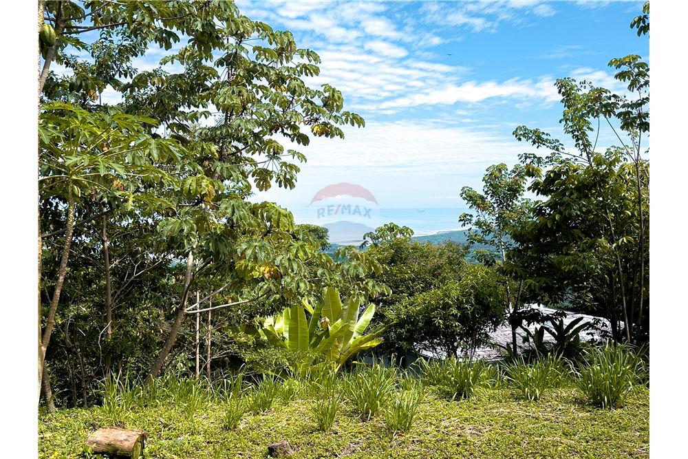 Commercial - Land - Puntarenas, Puntarenas - Puntarenas, Costa Rica - Caribbean & Central Ameri - 7 - 90168039-27