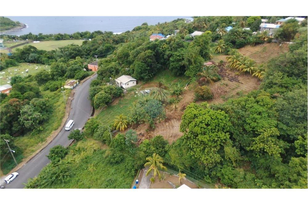 Commercial - Land - Stubbs, St Vincent, St Vincent and the Grenadines - Caribbean & Central Ameri - 3 - 90109004-55