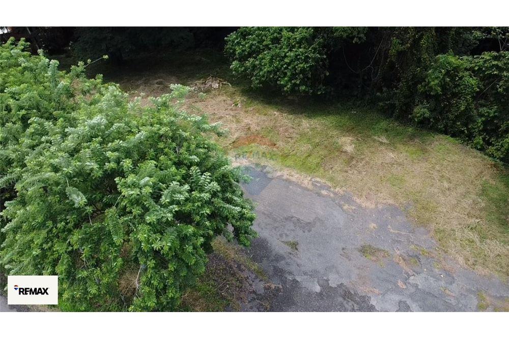 Commercial - Land - Puntarenas, Puntarenas - Puntarenas, Costa Rica - Caribbean & Central Ameri - 10 - 90168030-53