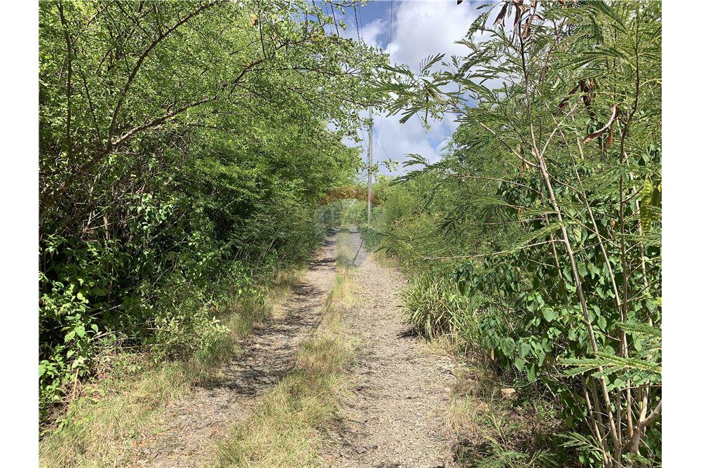 Commercial - Land - Gros Islet, Gros-Islet, St Lucia - Caribbean & Central Ameri - 3 - 902071001-213
