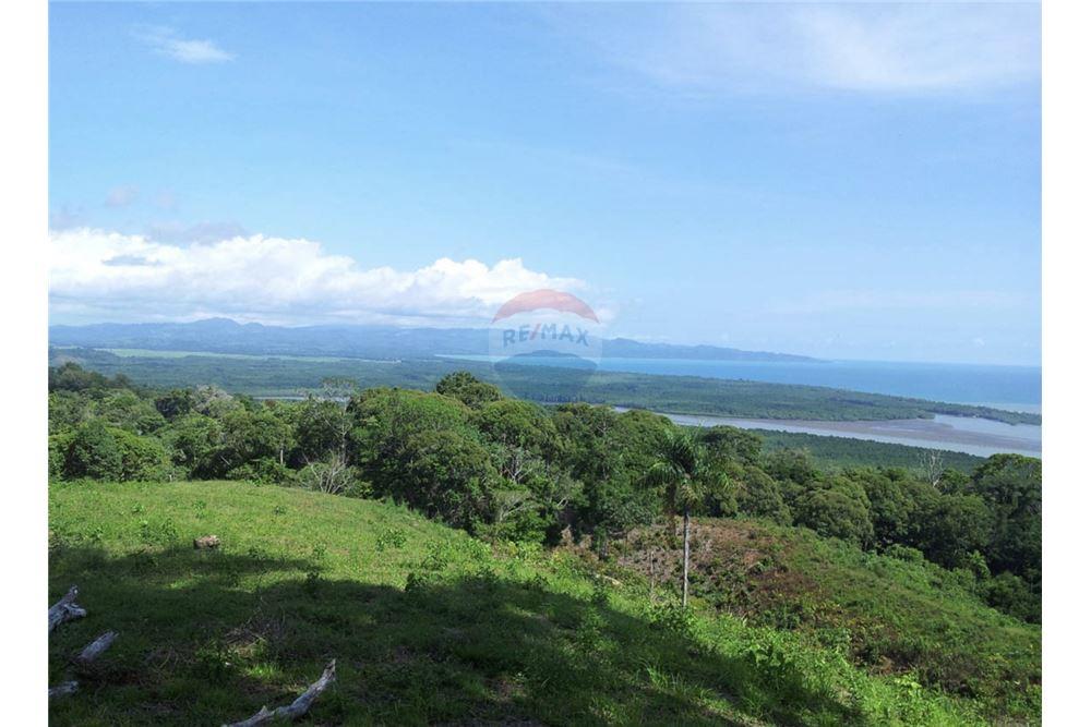 Commercial - Land - Golfito, Puntarenas - Golfito, Costa Rica - Caribbean & Central Ameri - 2 - 90168026-105