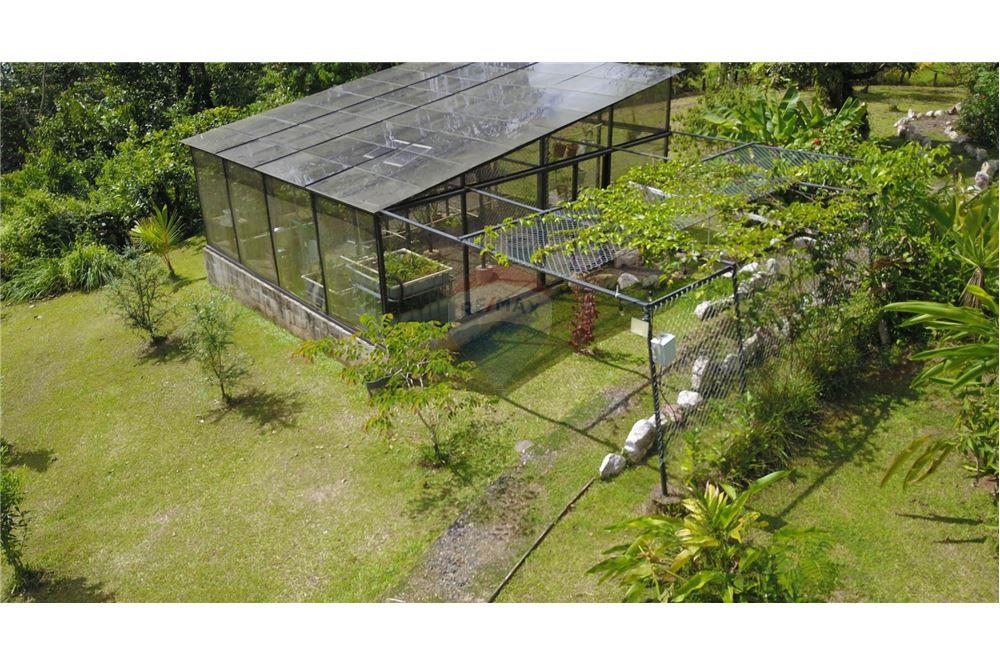 Residential - Multi-Family - Puntarenas, Puntarenas - Puntarenas, Costa Rica - Caribbean & Central Ameri - 10 - 90168039-34