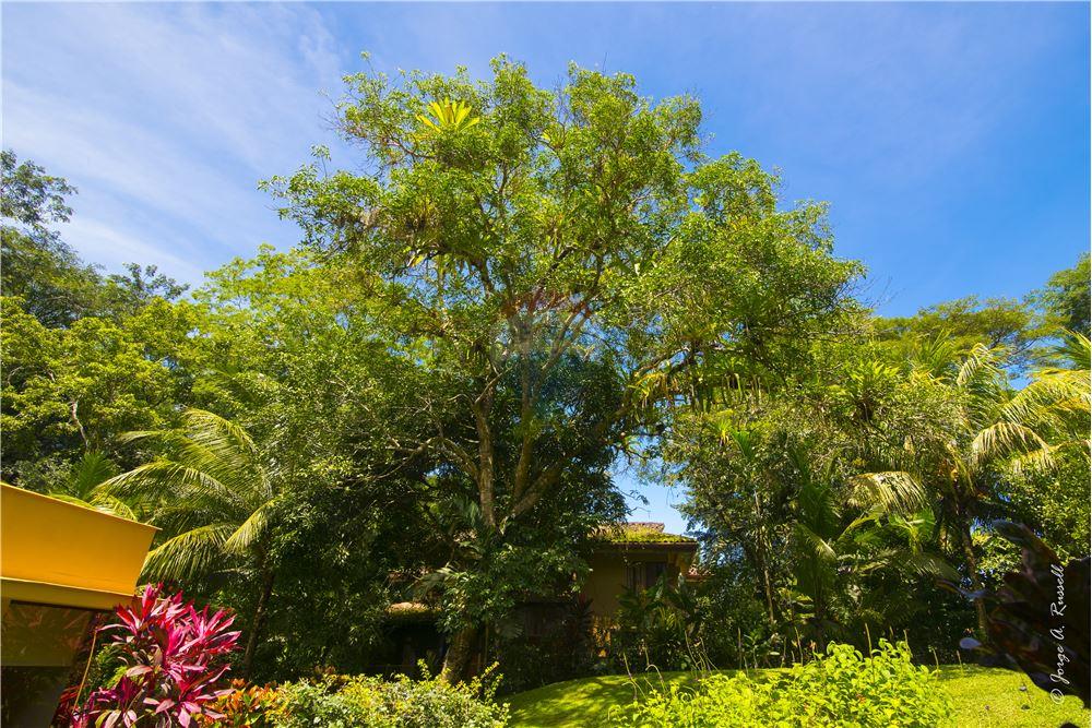 Residential - Villa - Puntarenas, Puntarenas - Puntarenas, Costa Rica - Caribbean & Central Ameri - 27 - 90168011-791