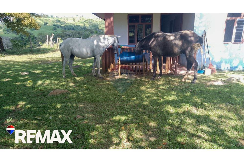 Commercial - Land - Parrita, Puntarenas - Parrita, Costa Rica - Caribbean & Central Ameri - 7 - 90168013-191