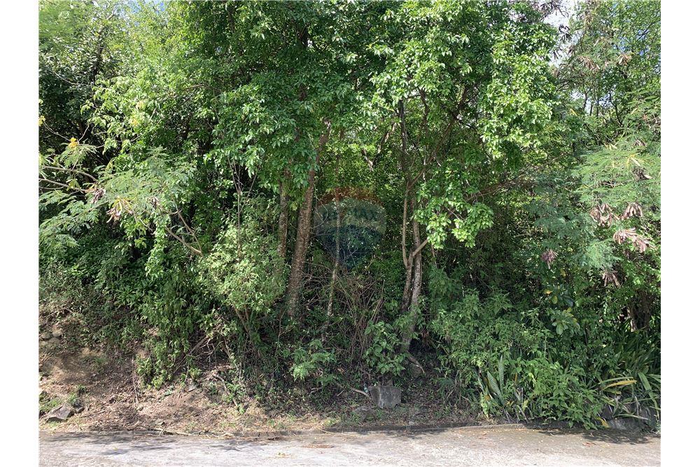 Commercial - Land - Gros Islet, Gros-Islet, St Lucia - Caribbean & Central Ameri - 6 - 902071001-213