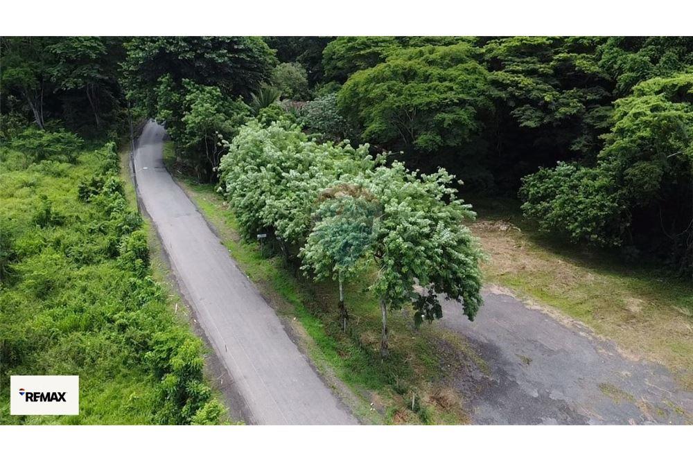 Commercial - Land - Puntarenas, Puntarenas - Puntarenas, Costa Rica - Caribbean & Central Ameri - 8 - 90168030-53