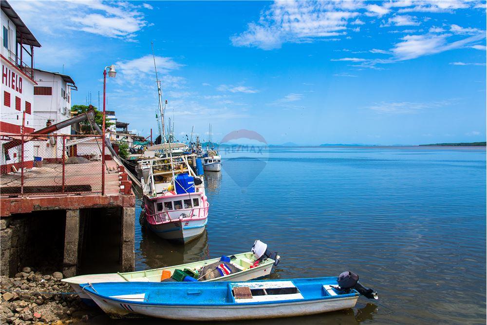 Commercial - Land - Puntarenas, Puntarenas - Puntarenas, Costa Rica - Caribbean & Central Ameri - 12 - 90168011-790
