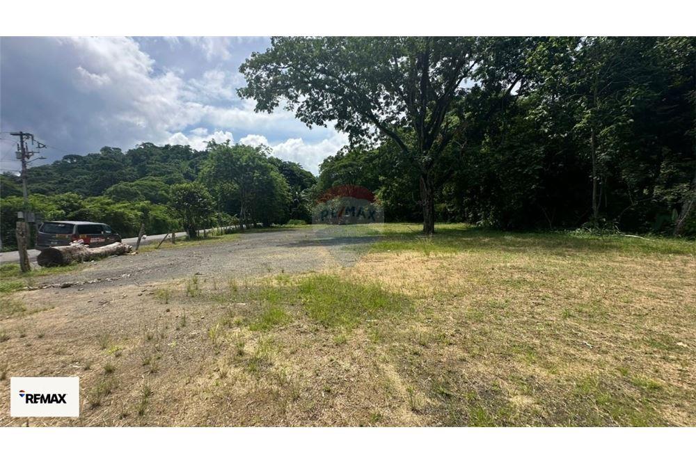 Commercial - Land - Puntarenas, Puntarenas - Puntarenas, Costa Rica - Caribbean & Central Ameri - 14 - 90168030-53