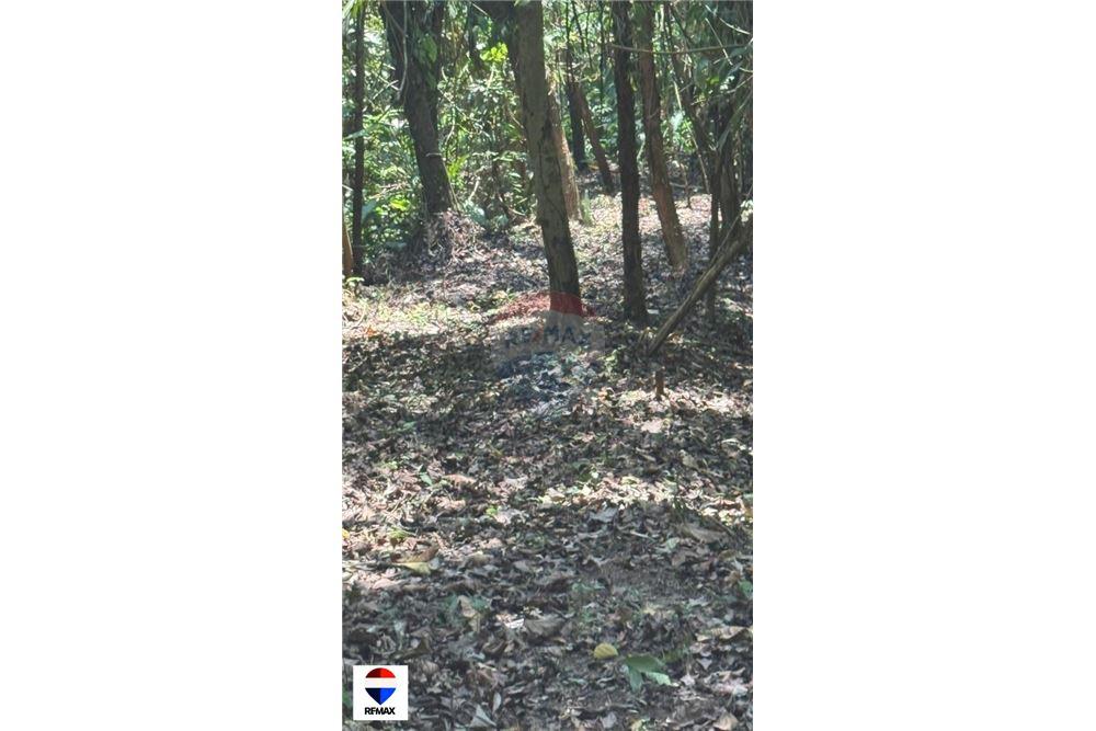 Commercial - Land - Tarcoles - Quebrada Ganado, Puntarenas- Garabito, Costa Rica - Caribbean & Central Ameri - 21 - 90168030-59
