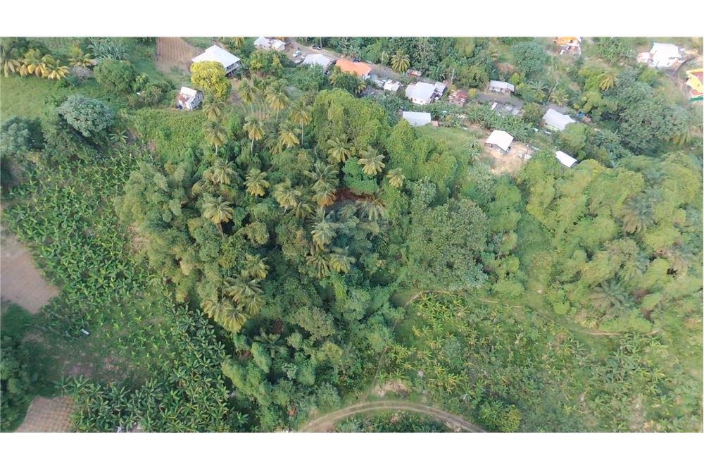 Commercial - Land - Adelphi, St Vincent, St Vincent and the Grenadines - Caribbean & Central Ameri - 4 - 90109004-59