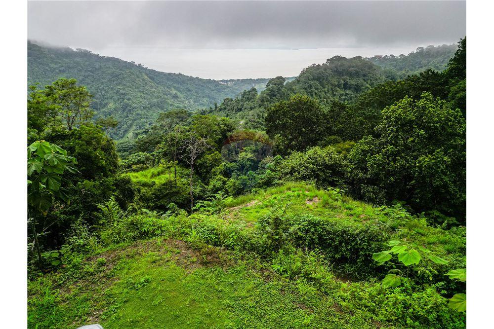 Commercial - Land - Jaco - Jaco, Puntarenas- Garabito, Costa Rica - Caribbean & Central Ameri - 8 - 90168016-217