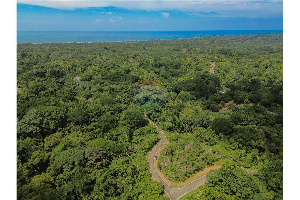 Commercial - Land - Parrita - Esterillos, Puntarenas - Parrita, Costa Rica - Caribbean & Central Ameri - 18 - 90168039-32