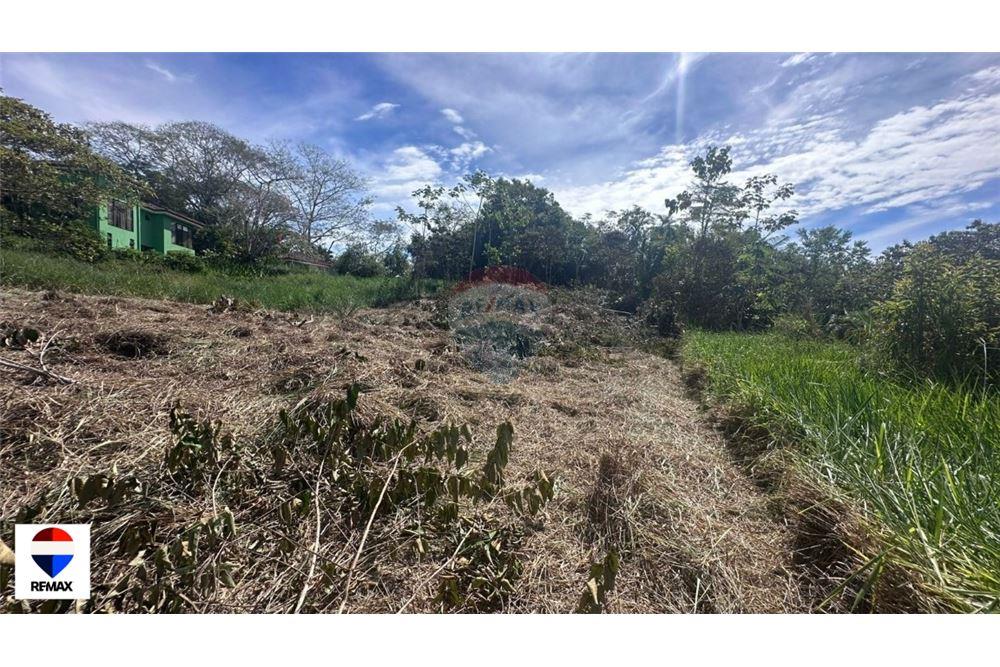 Commercial - Land - Parrita - Esterillos, Puntarenas - Parrita, Costa Rica - Caribbean & Central Ameri - 17 - 90168030-72