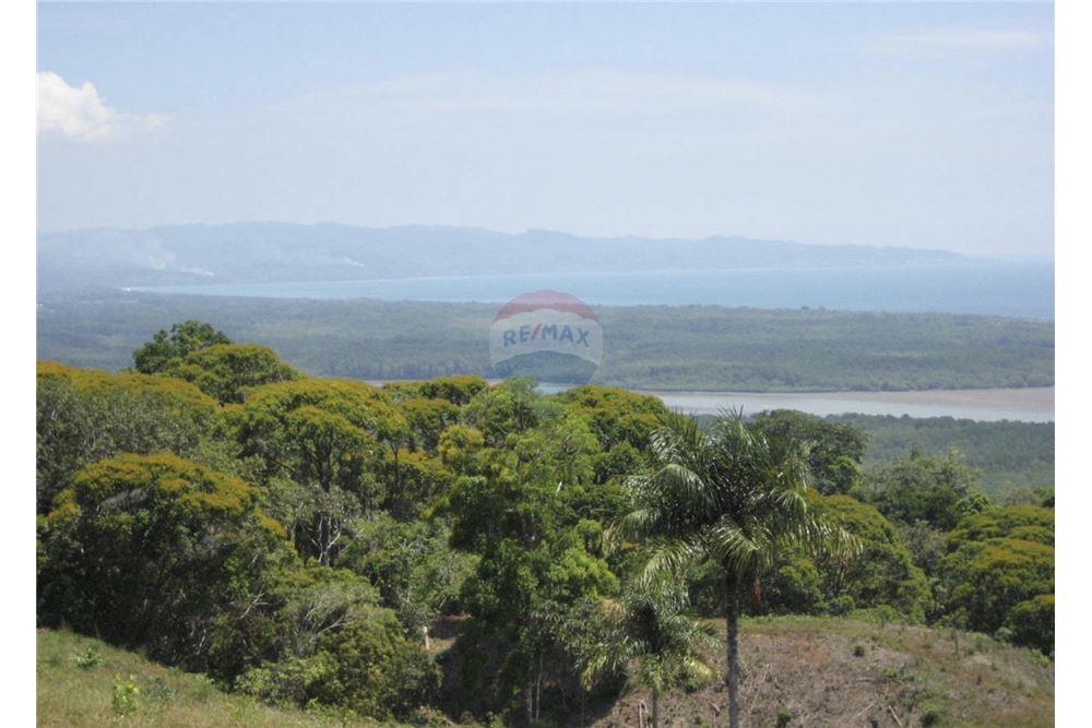 Commercial - Land - Golfito, Puntarenas - Golfito, Costa Rica - Caribbean & Central Ameri - 3 - 90168026-105