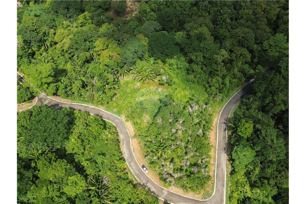 Commercial - Land - Parrita - Esterillos, Puntarenas - Parrita, Costa Rica - Caribbean & Central Ameri - 17 - 90168039-32