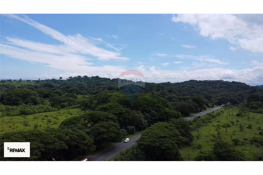 Commercial - Land - Puntarenas, Puntarenas - Puntarenas, Costa Rica - Caribbean & Central Ameri - 16 - 90168030-53