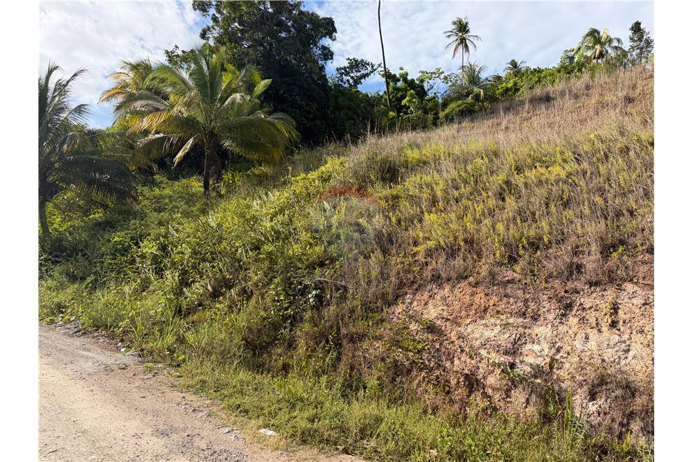 Commercial - Land - Castries, Castries, St Lucia - Caribbean & Central Ameri - 6 - 902071001-230