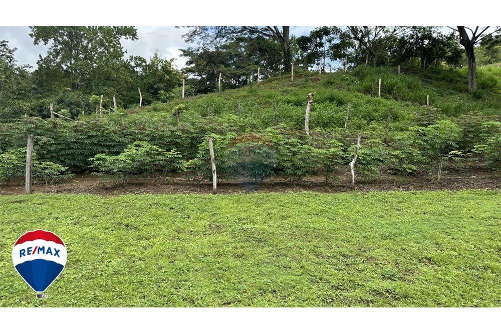 Commercial - Land - San José, San José, Costa Rica - Caribbean & Central Ameri - 16 - 90168030-67