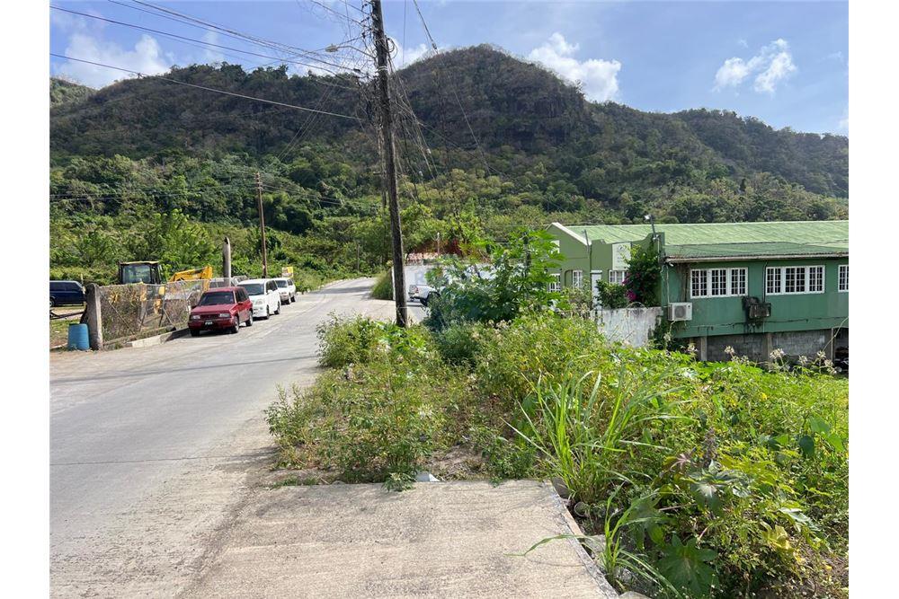 Commercial - Land - Buccament, St Vincent, St Vincent and the Grenadines - Caribbean & Central Ameri - 1 - 90109004-67