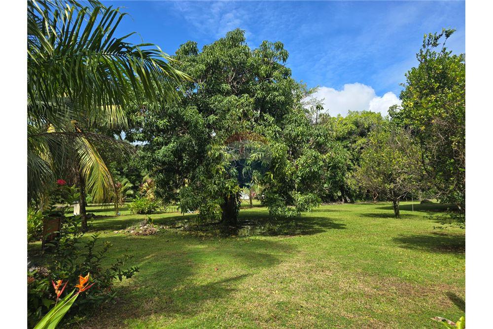 Residential - Villa - Parrita - Esterillos, Puntarenas - Parrita, Costa Rica - Caribbean & Central Ameri - 22 - 90168011-795