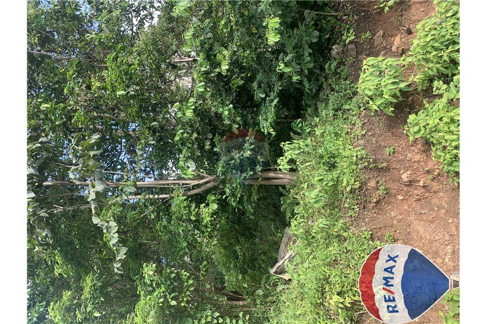 Commercial - Land - Monchy, Dauphin, St Lucia - Caribbean & Central Ameri - 4 - 902071001-228