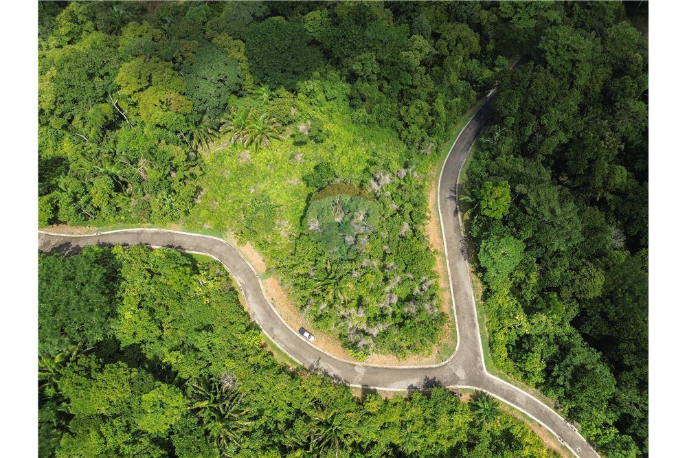 Commercial - Land - Parrita - Esterillos, Puntarenas - Parrita, Costa Rica - Caribbean & Central Ameri - 2 - 90168039-32