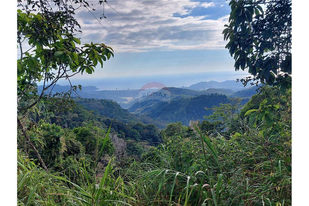 Commercial - Land - Bijagual, Puntarenas, Costa Rica - Caribbean & Central Ameri - 21 - 90168030-68