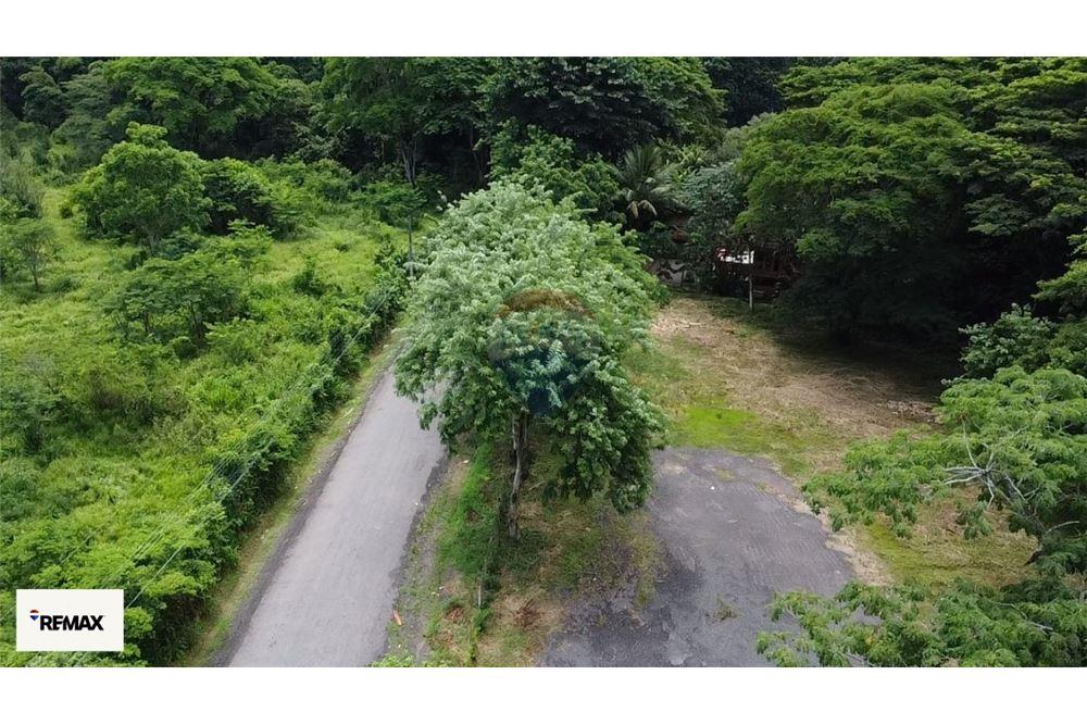 Commercial - Land - Puntarenas, Puntarenas - Puntarenas, Costa Rica - Caribbean & Central Ameri - 18 - 90168030-53
