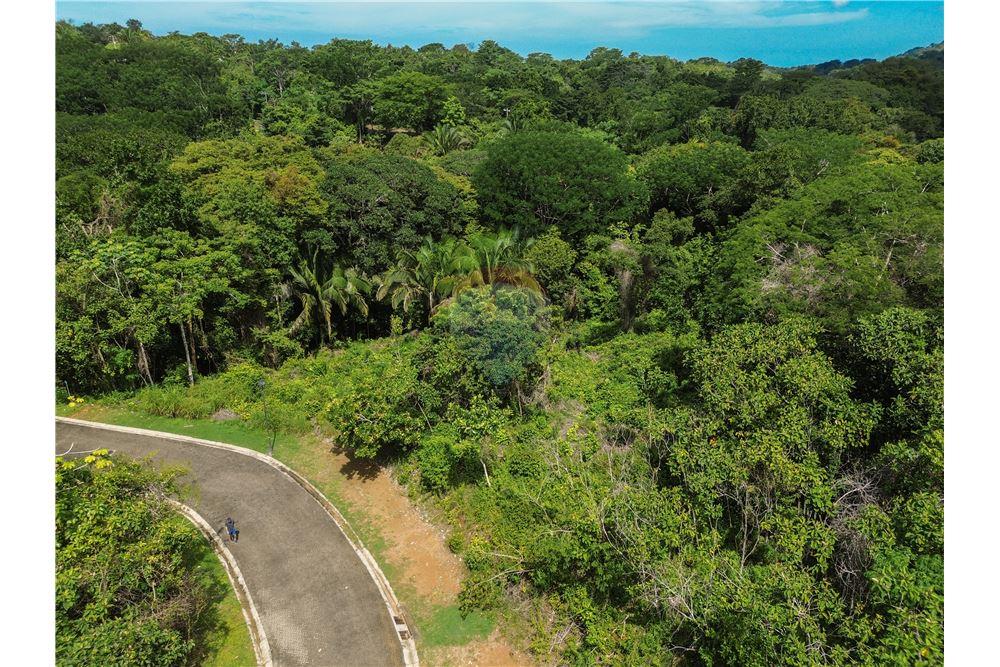 Commercial - Land - Parrita - Esterillos, Puntarenas - Parrita, Costa Rica - Caribbean & Central Ameri - 16 - 90168039-31