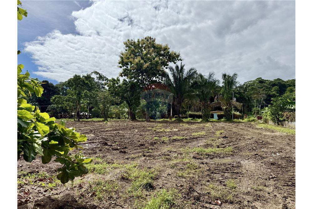 Commercial - Land - Pavones, Guanacaste, Costa Rica - Caribbean & Central Ameri - 3 - 90168026-91