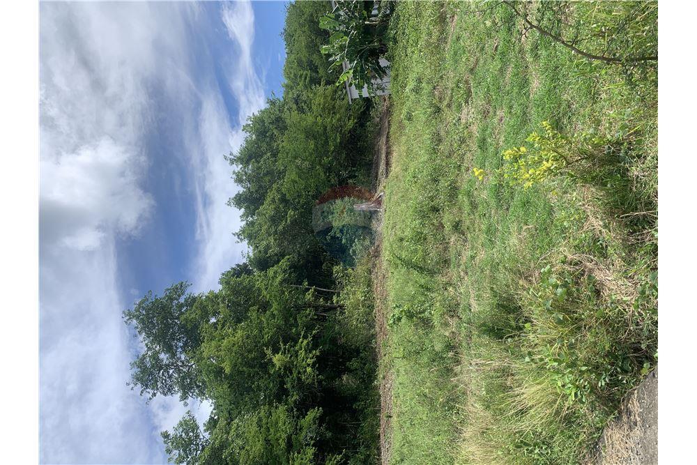 Commercial - Land - Gros Islet, Gros-Islet, St Lucia - Caribbean & Central Ameri - 9 - 902071001-212