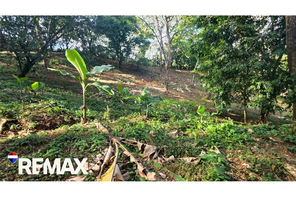 Commercial - Commercial/Retail - Jaco - Herradura, Puntarenas- Garabito, Costa Rica - Caribbean & Central Ameri - 8 - 90168013-183