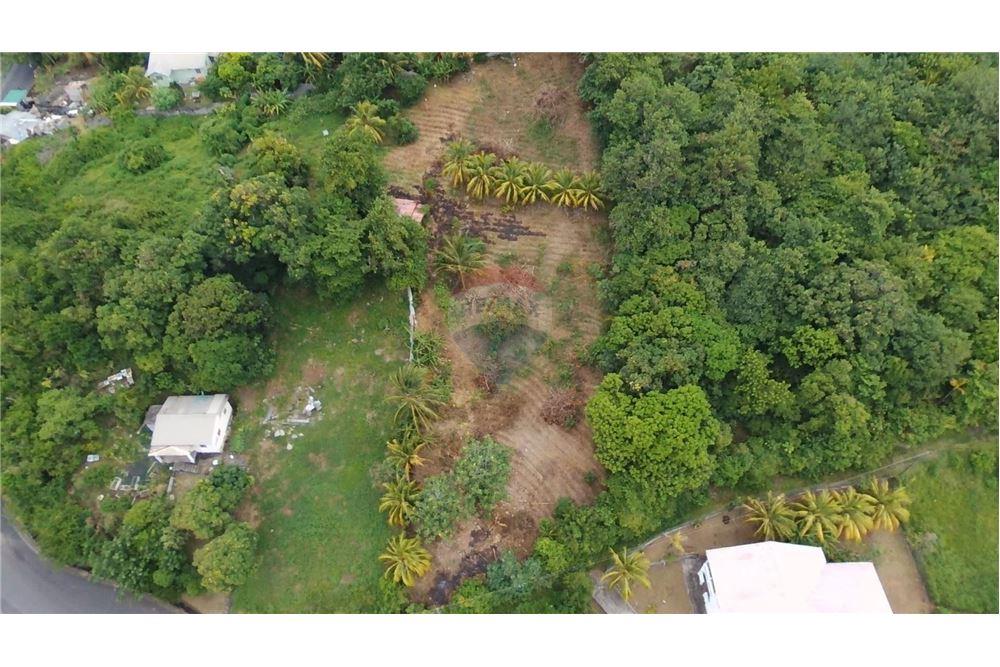 Commercial - Land - Stubbs, St Vincent, St Vincent and the Grenadines - Caribbean & Central Ameri - 7 - 90109004-55