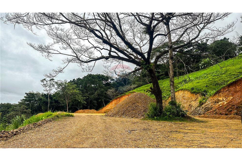 Commercial - Land - Jaco - Jaco, Puntarenas- Garabito, Costa Rica - Caribbean & Central Ameri - 6 - 90168016-215