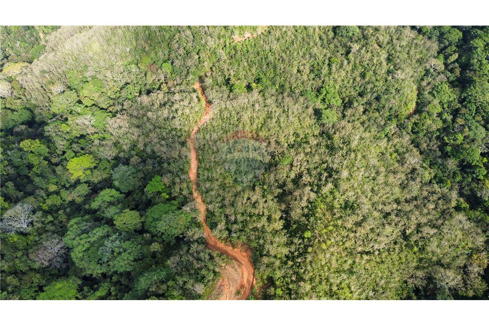 Commercial - Land - Bijagual, Puntarenas, Costa Rica - Caribbean & Central Ameri - 10 - 90168030-68