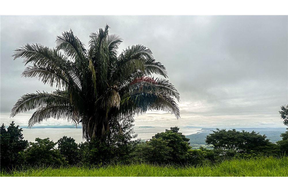 Commercial - Land - Jaco - Jaco, Puntarenas- Garabito, Costa Rica - Caribbean & Central Ameri - 6 - 90168016-216