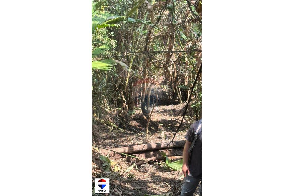 Commercial - Land - Tarcoles - Quebrada Ganado, Puntarenas- Garabito, Costa Rica - Caribbean & Central Ameri - 7 - 90168030-59