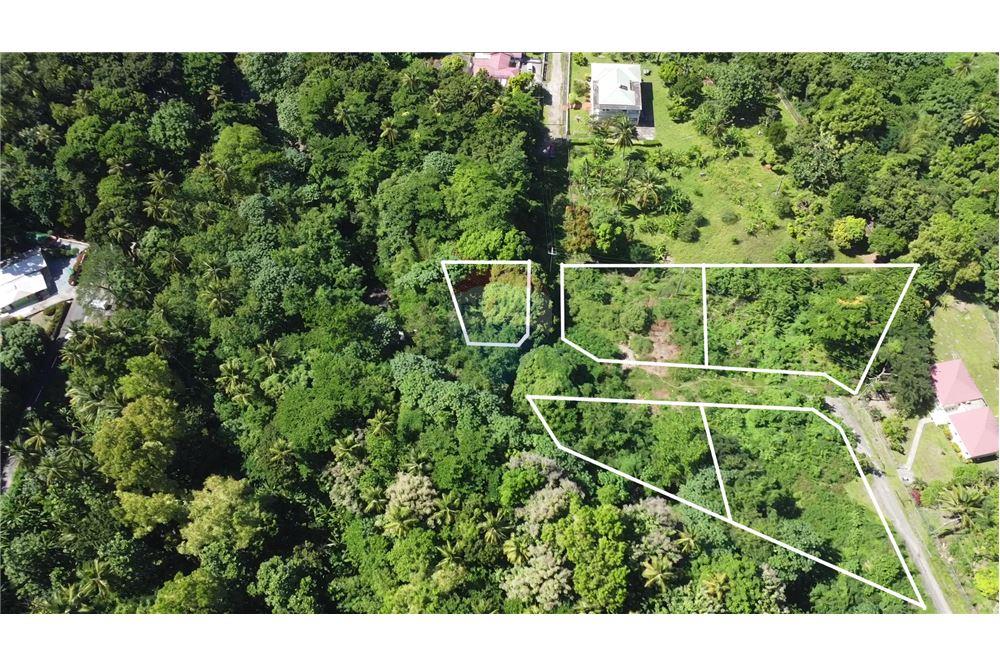 Commercial - Land - La Pearle, Soufrière, St Lucia - Caribbean & Central Ameri - 1 - 902071001-222