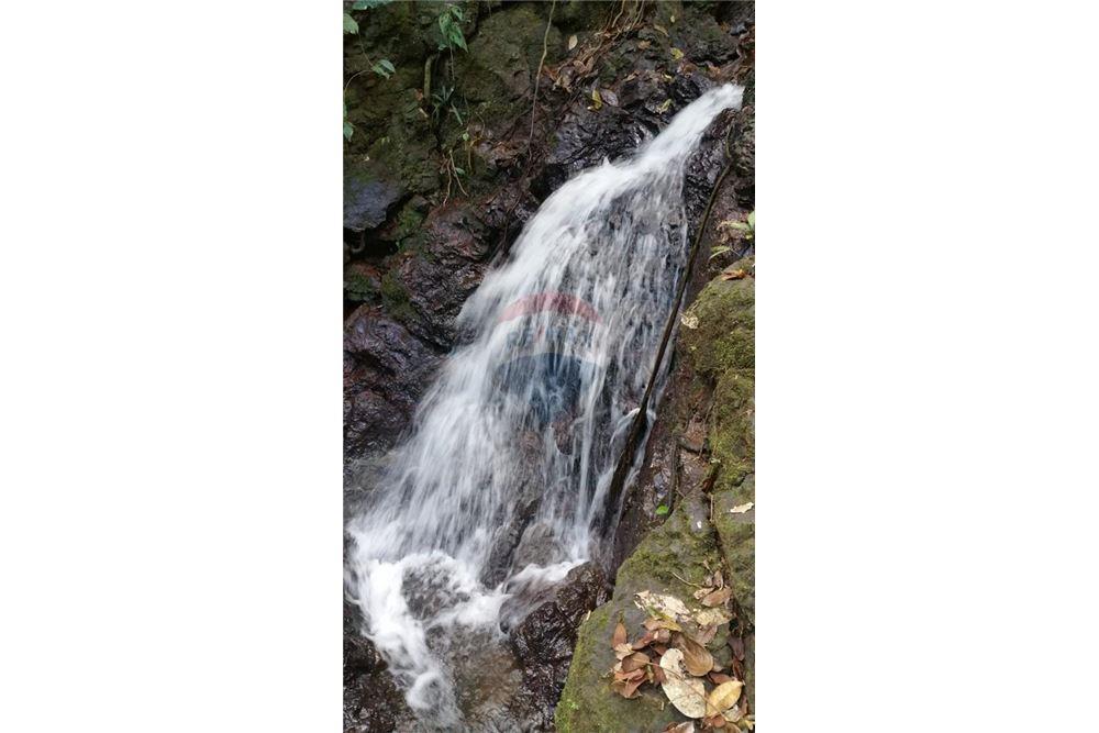 Commercial - Land - Bijagual, Puntarenas, Costa Rica - Caribbean & Central Ameri - 27 - 90168030-68