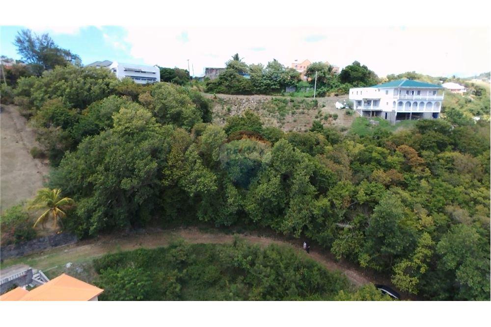 Commercial - Land - Prospect, St Vincent, St Vincent and the Grenadines - Caribbean & Central Ameri - 1 - 90109004-64
