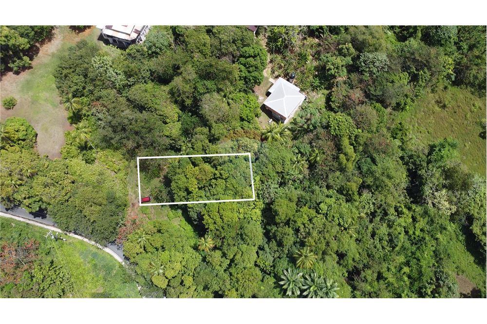 Commercial - Land - Balata, Castries, St Lucia - Caribbean & Central Ameri - 1 - 902071001-223